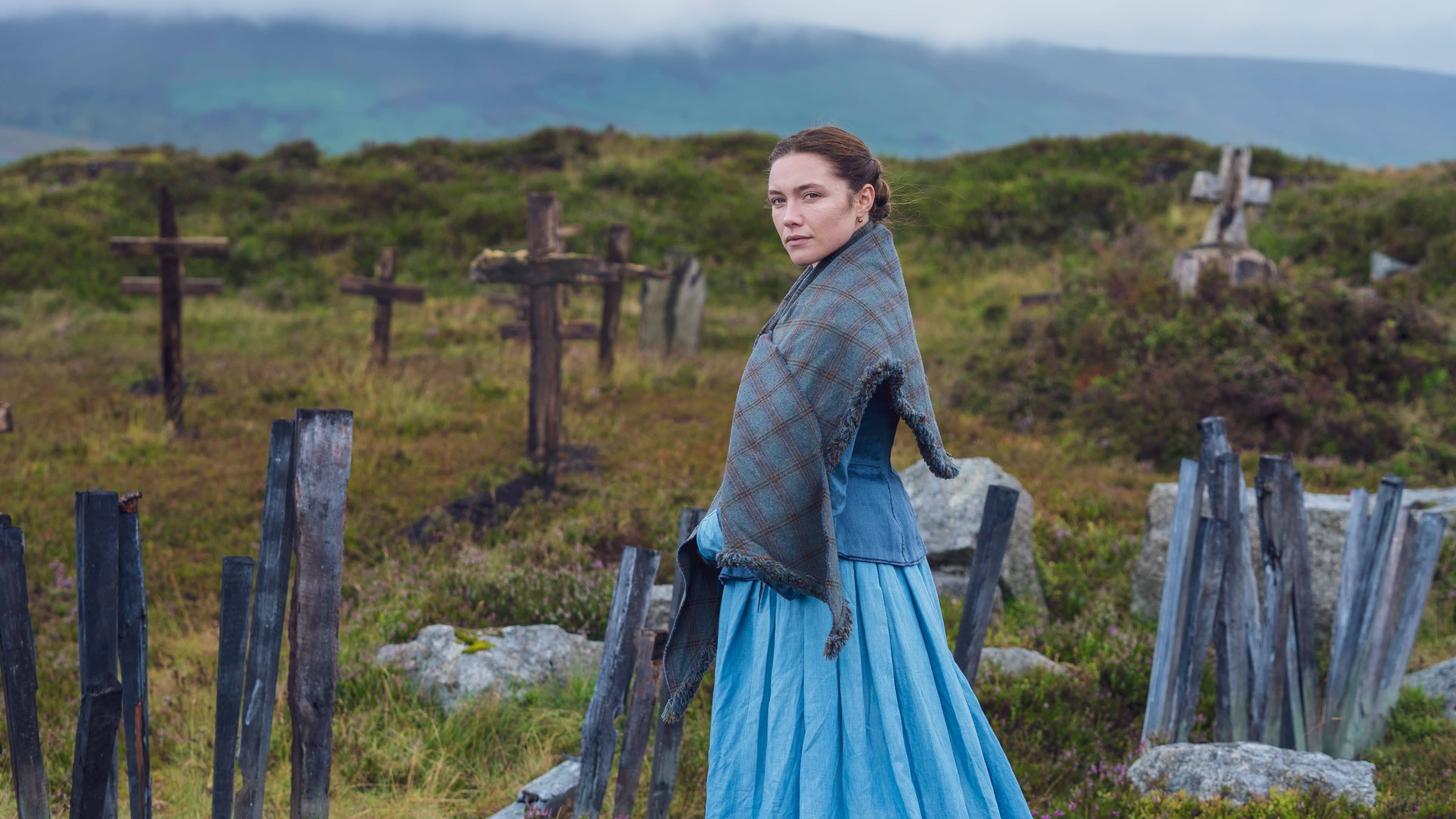 The Wonder Background