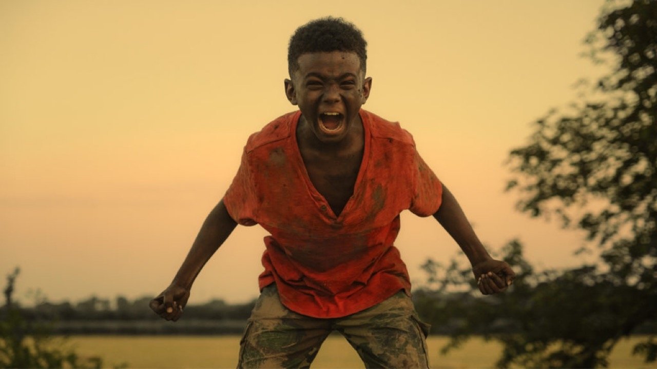 The Last Tree Background