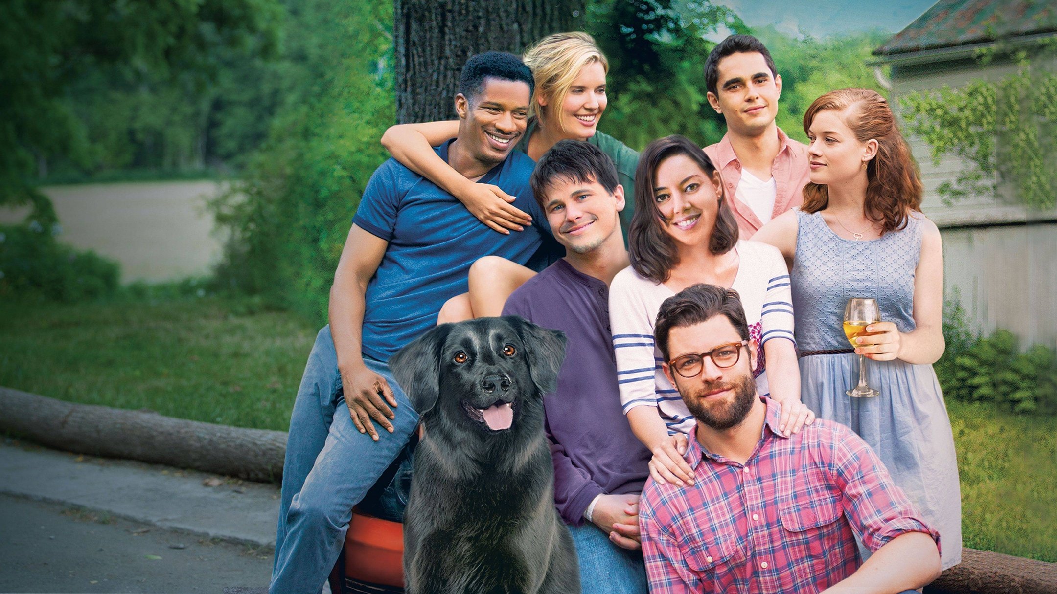 About Alex Background