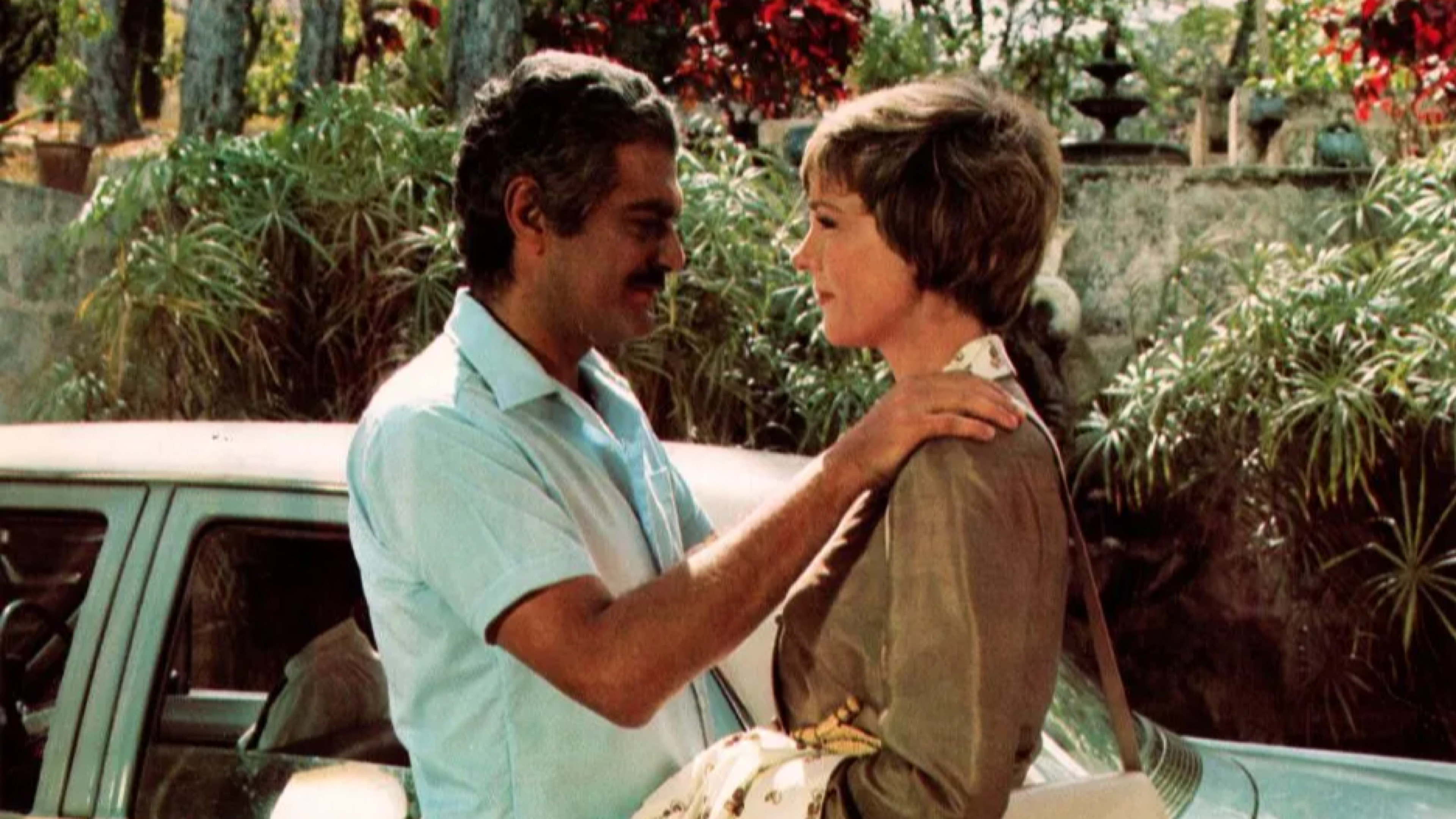 The Tamarind Seed Background