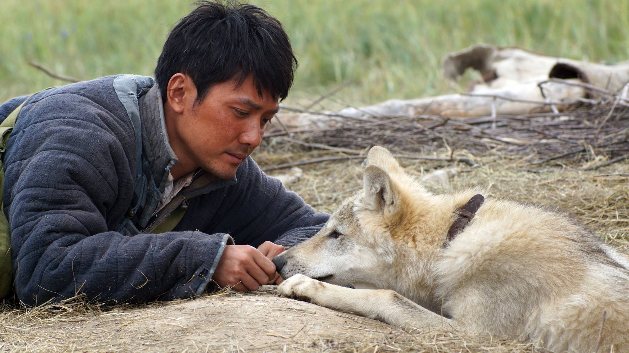 Wolf Totem Background