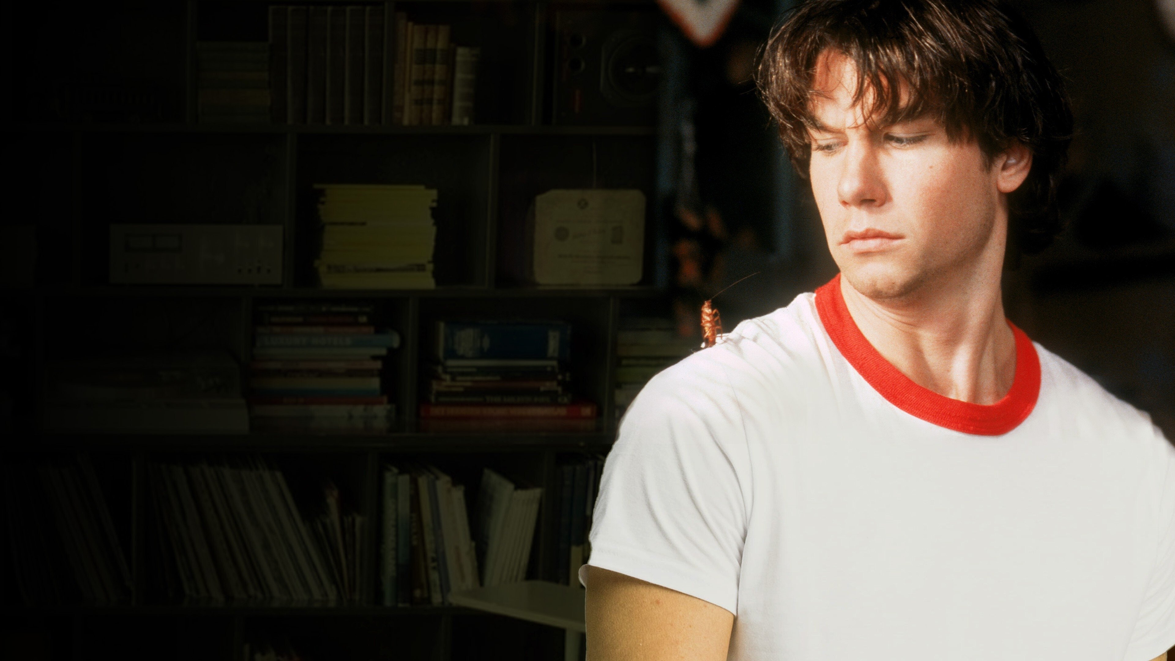 Joe's Apartment Background