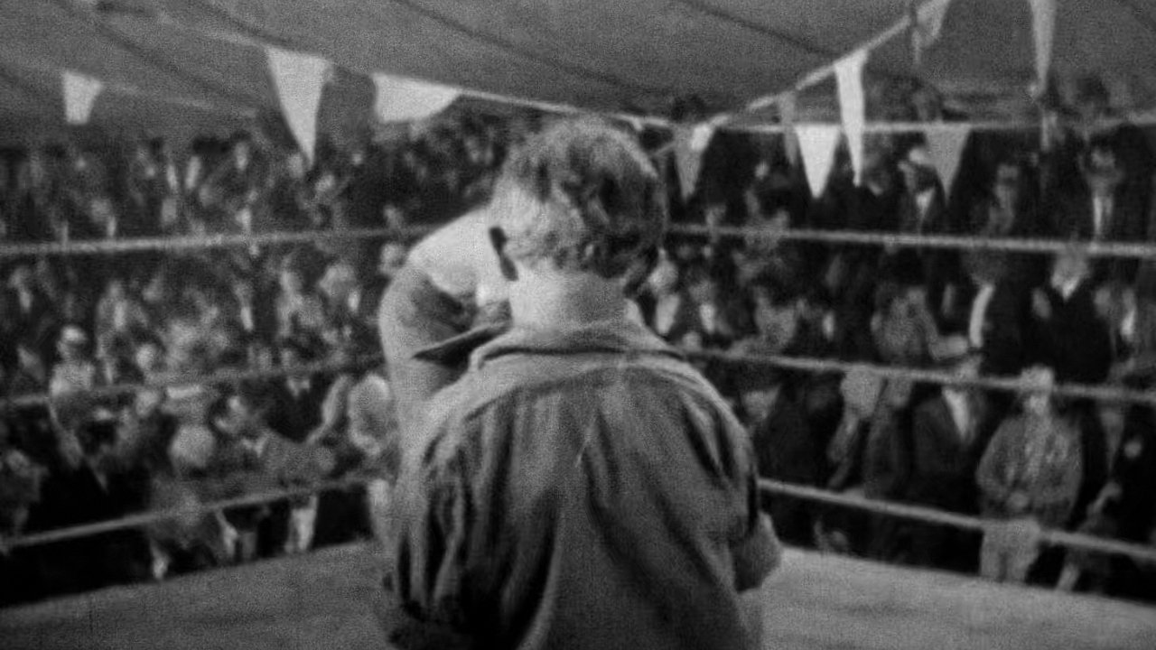 The Shakedown Background