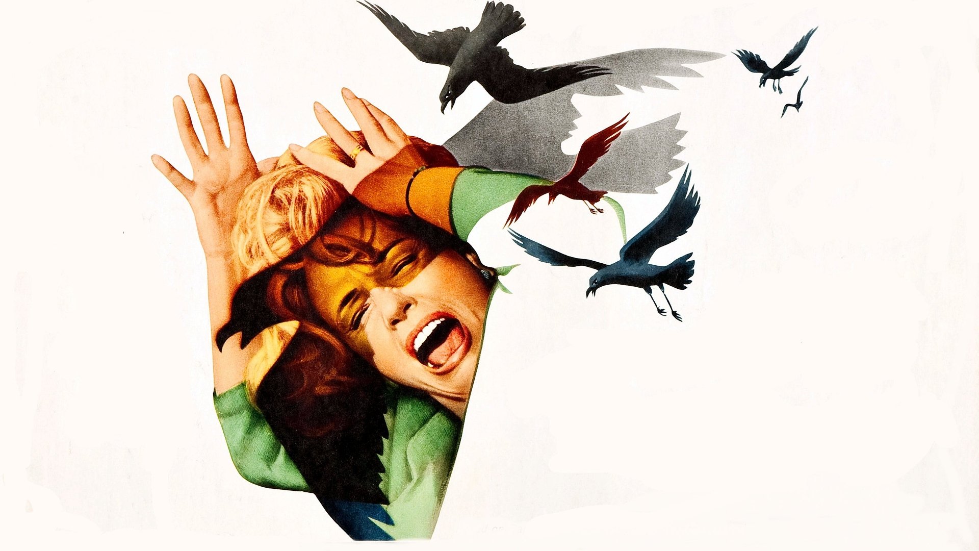 The Birds Background