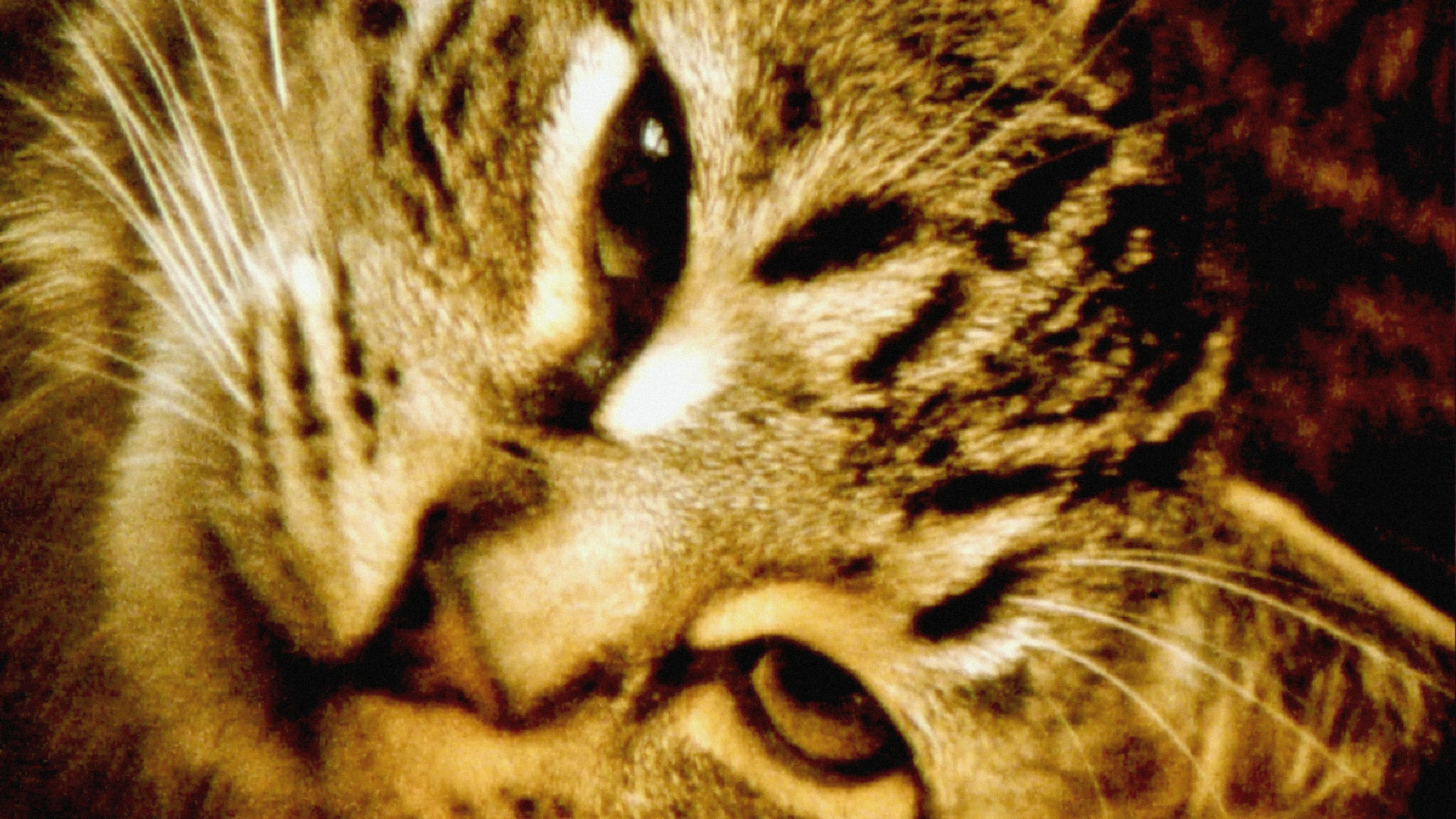 Hours for Jerome Background