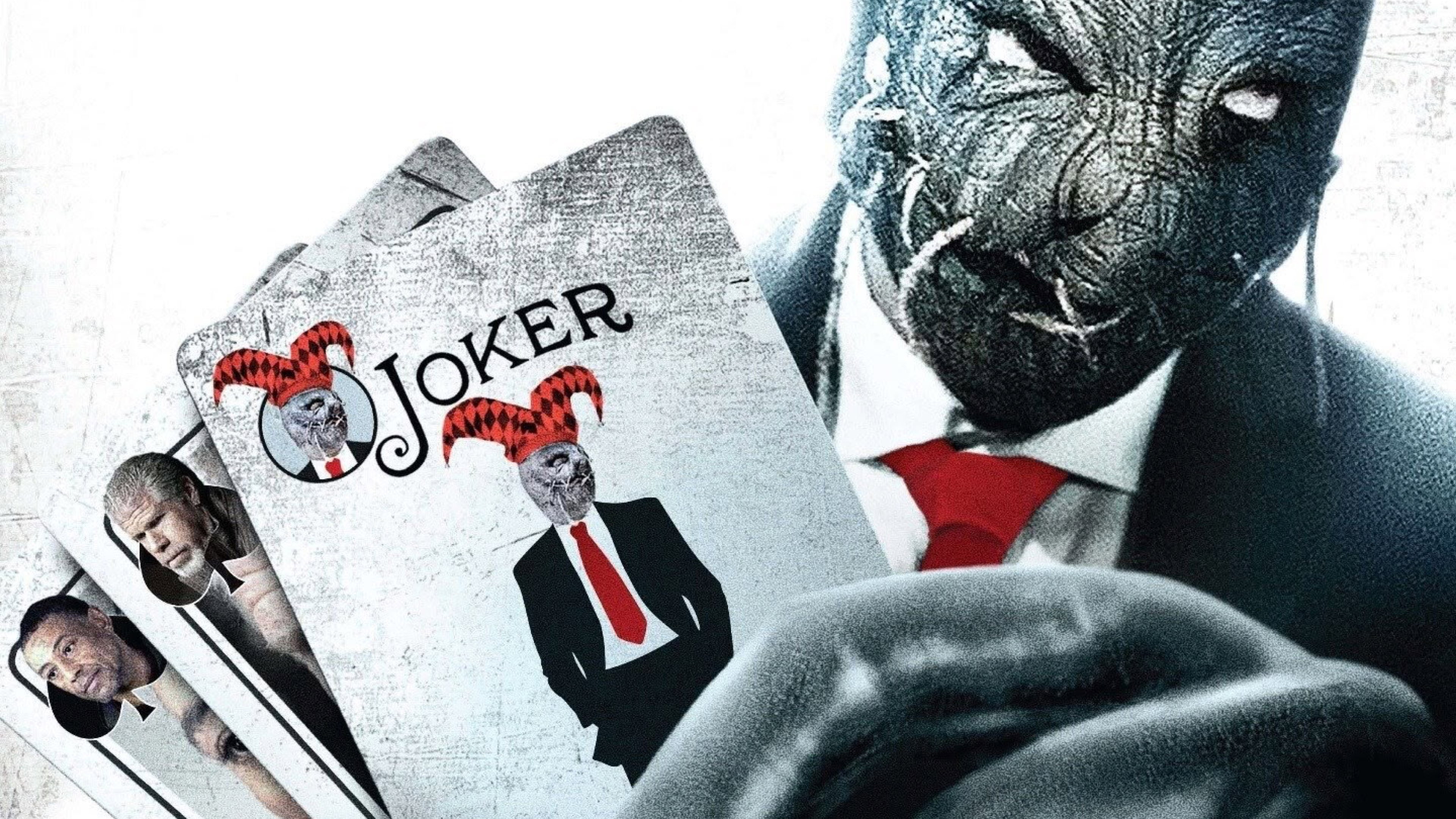 Poker Night Background