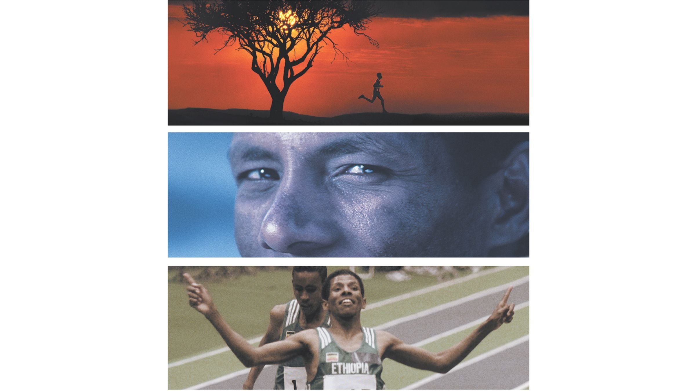 Endurance Background