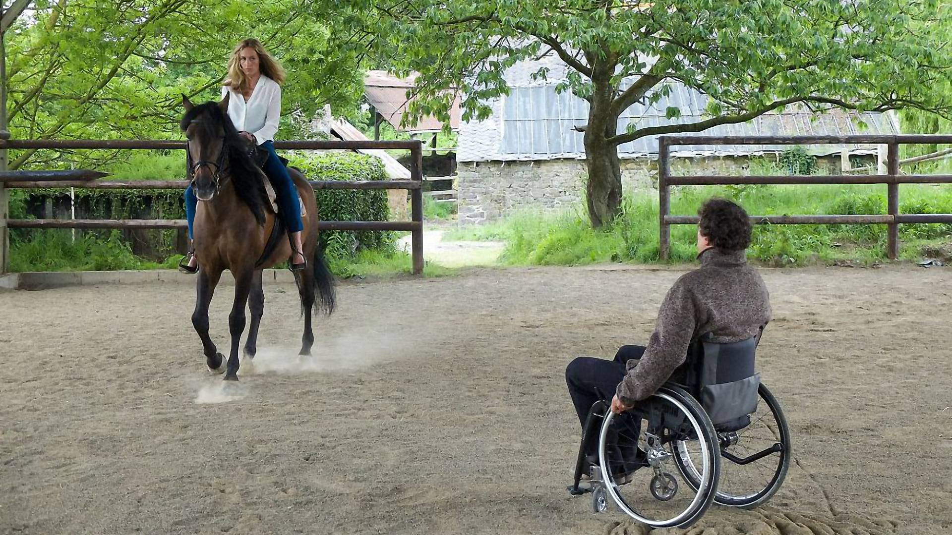 In Harmony Background