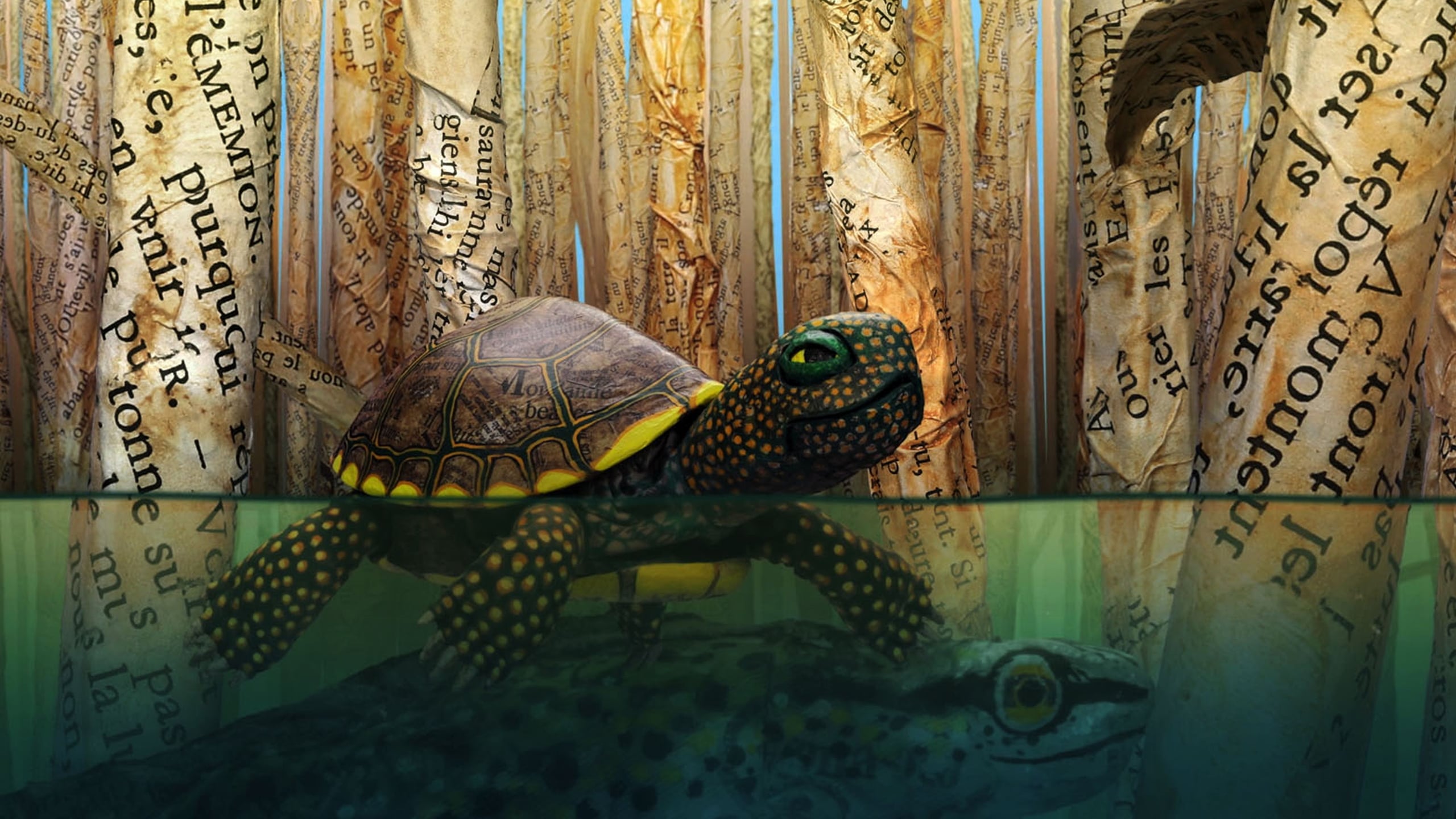 Hello World! Background