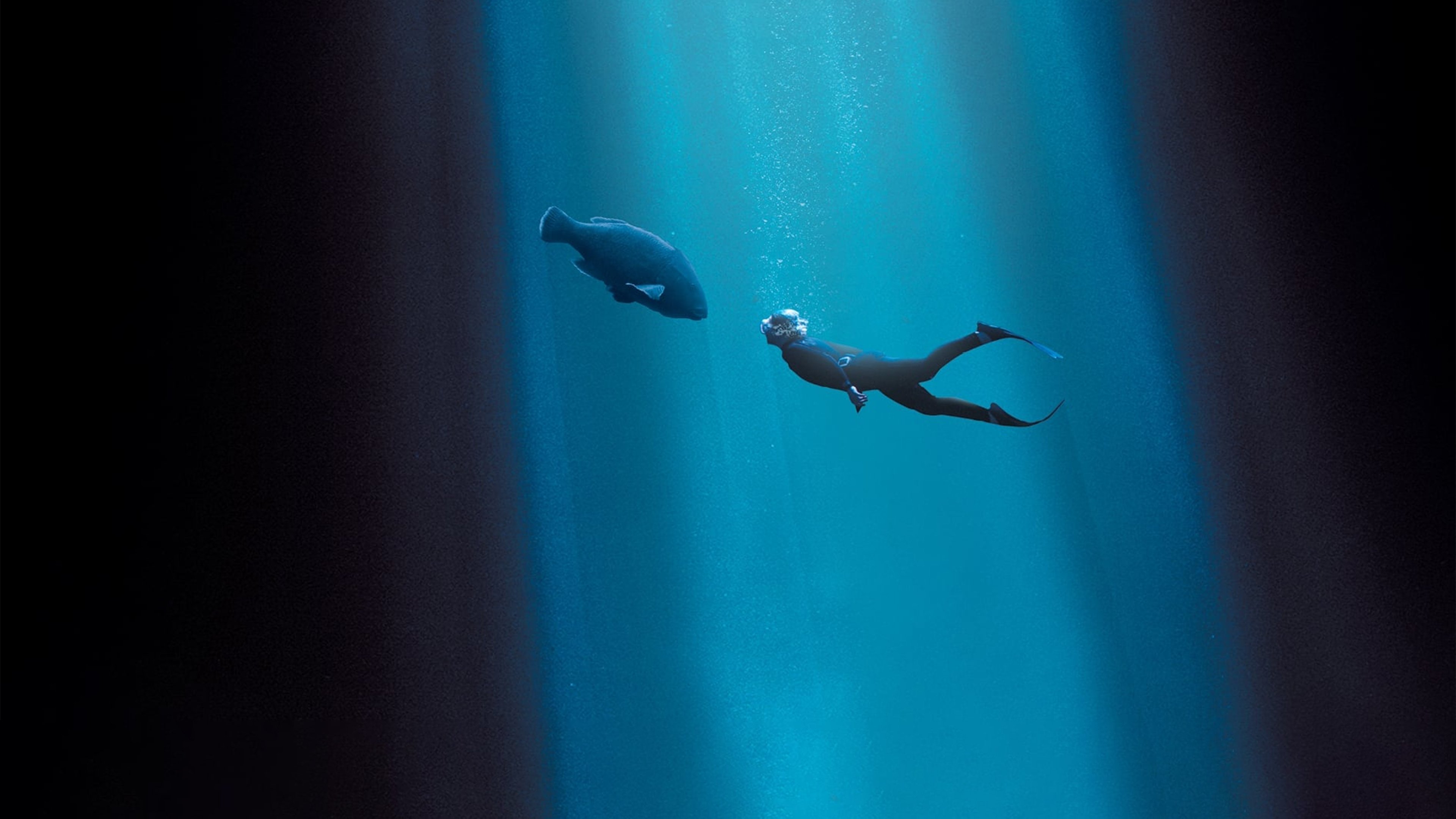 Blueback Background