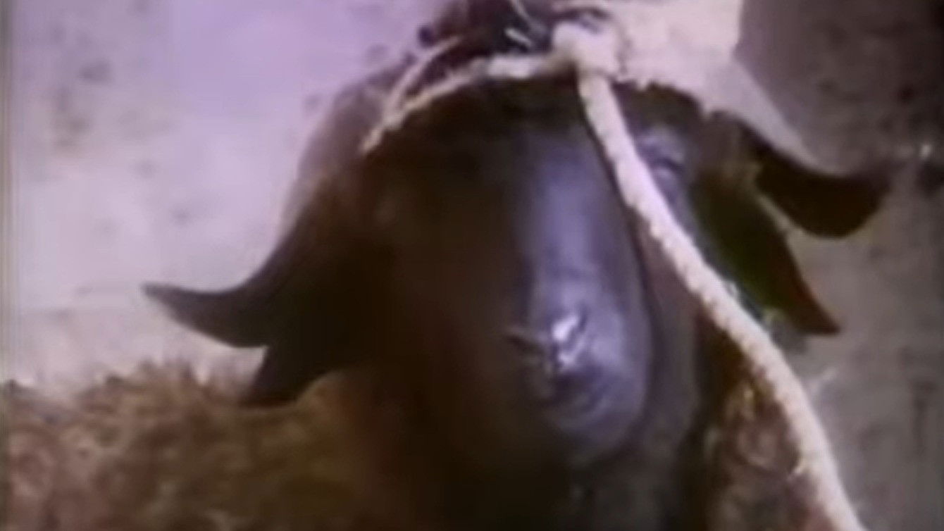 Vibration Background