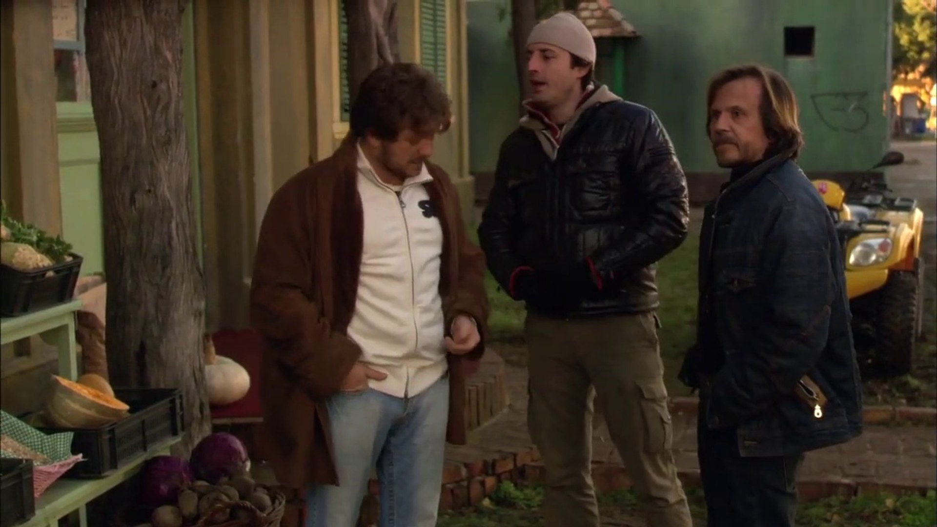 Storks in the Fog Background