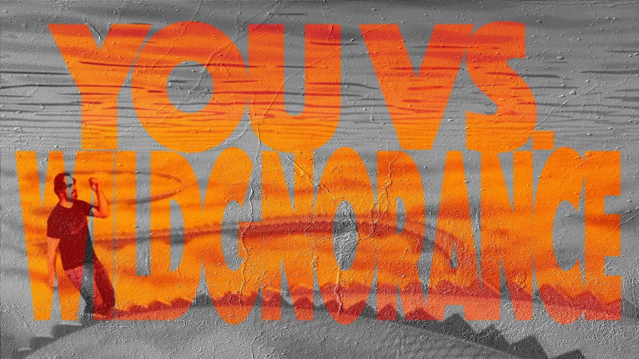 You Vs. Wildgnorance Background