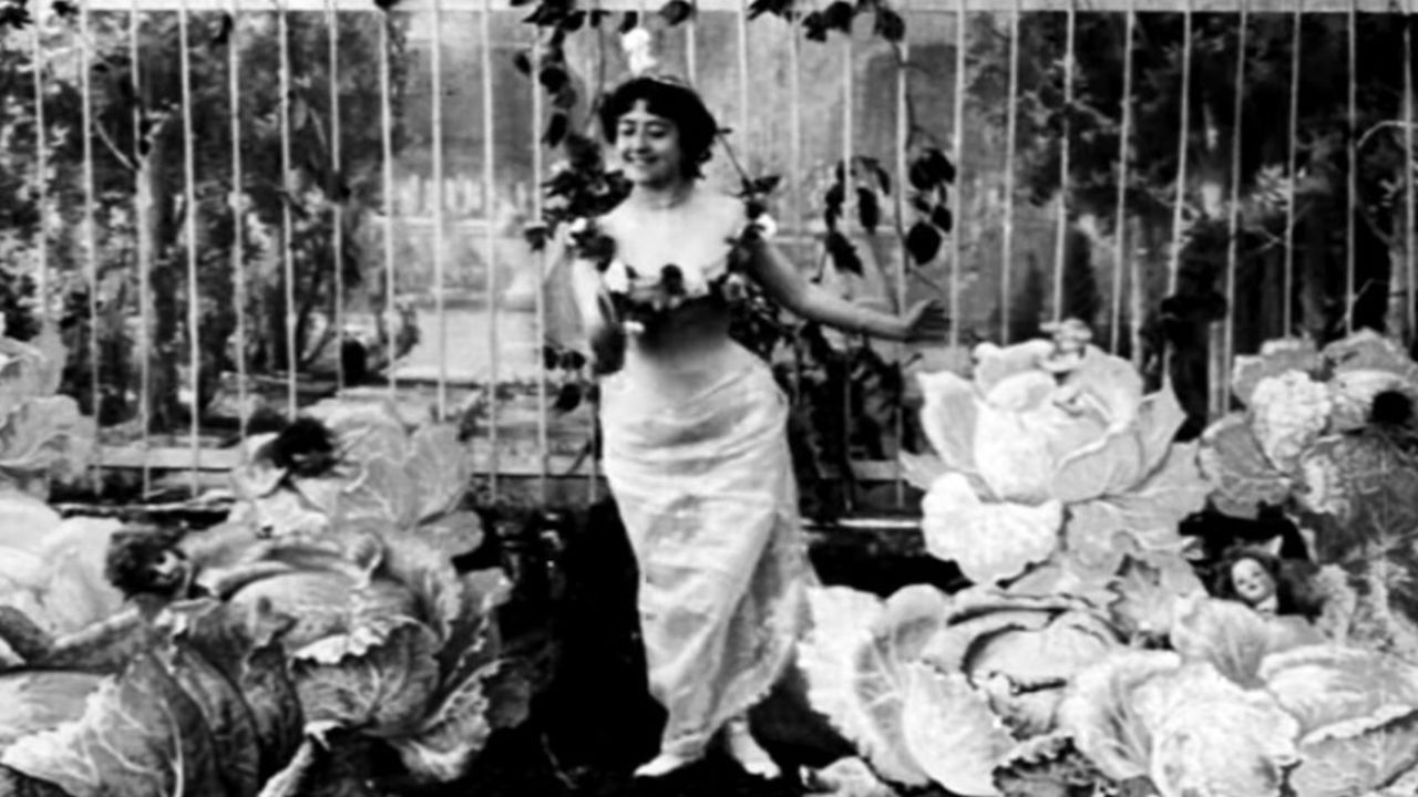 The Cabbage-Patch Fairy Background