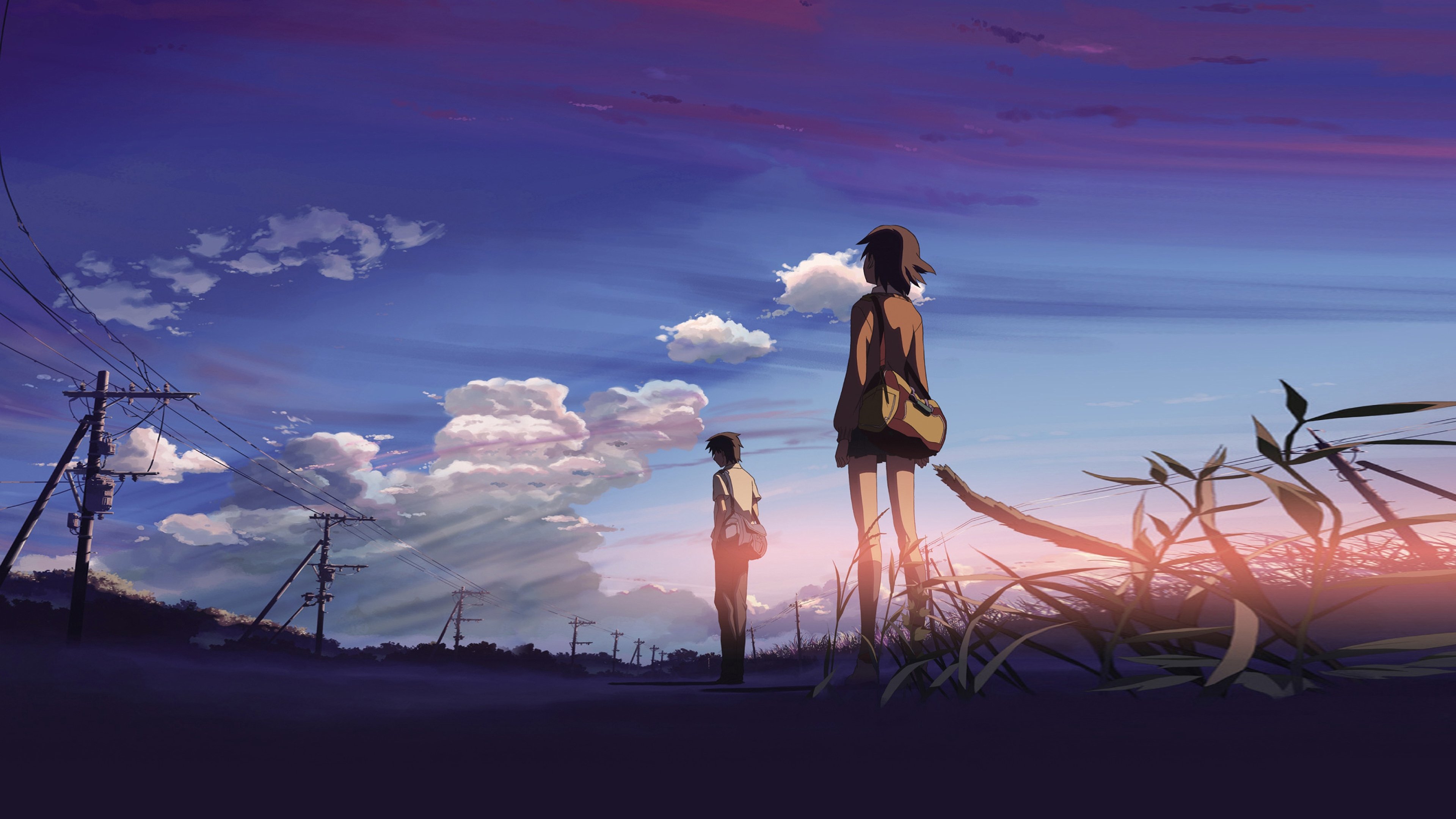 5 Centimeters per Second Background