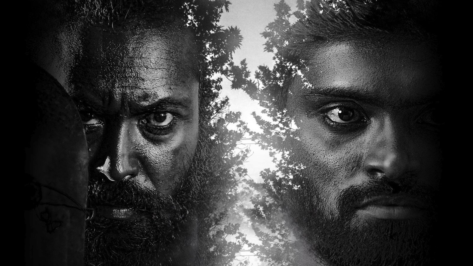 Red Sandal Wood Background