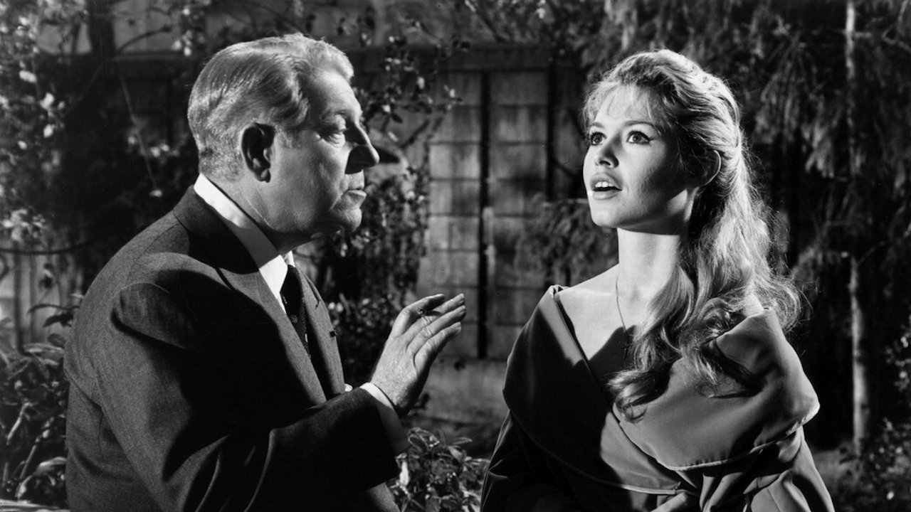 Love Is My Profession Background