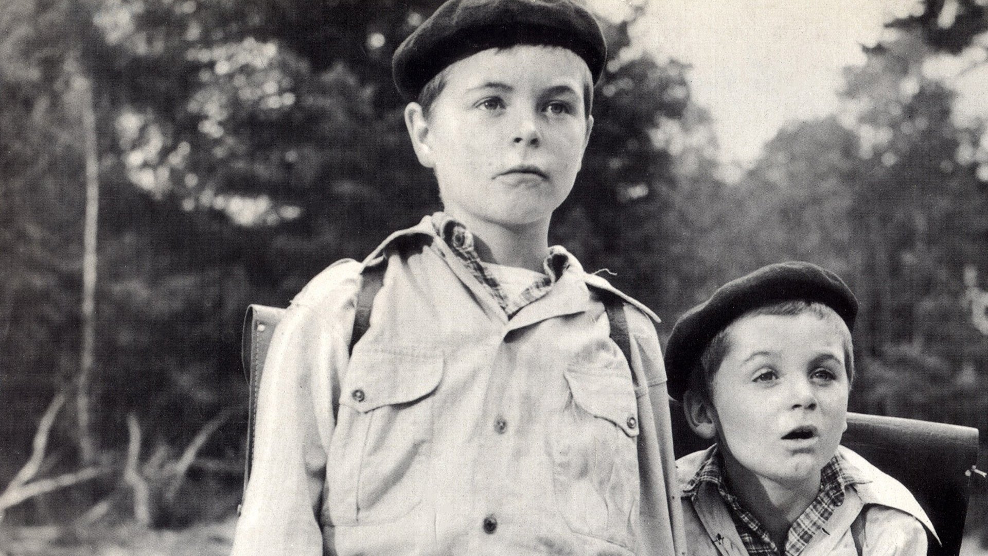 War of the Buttons Background