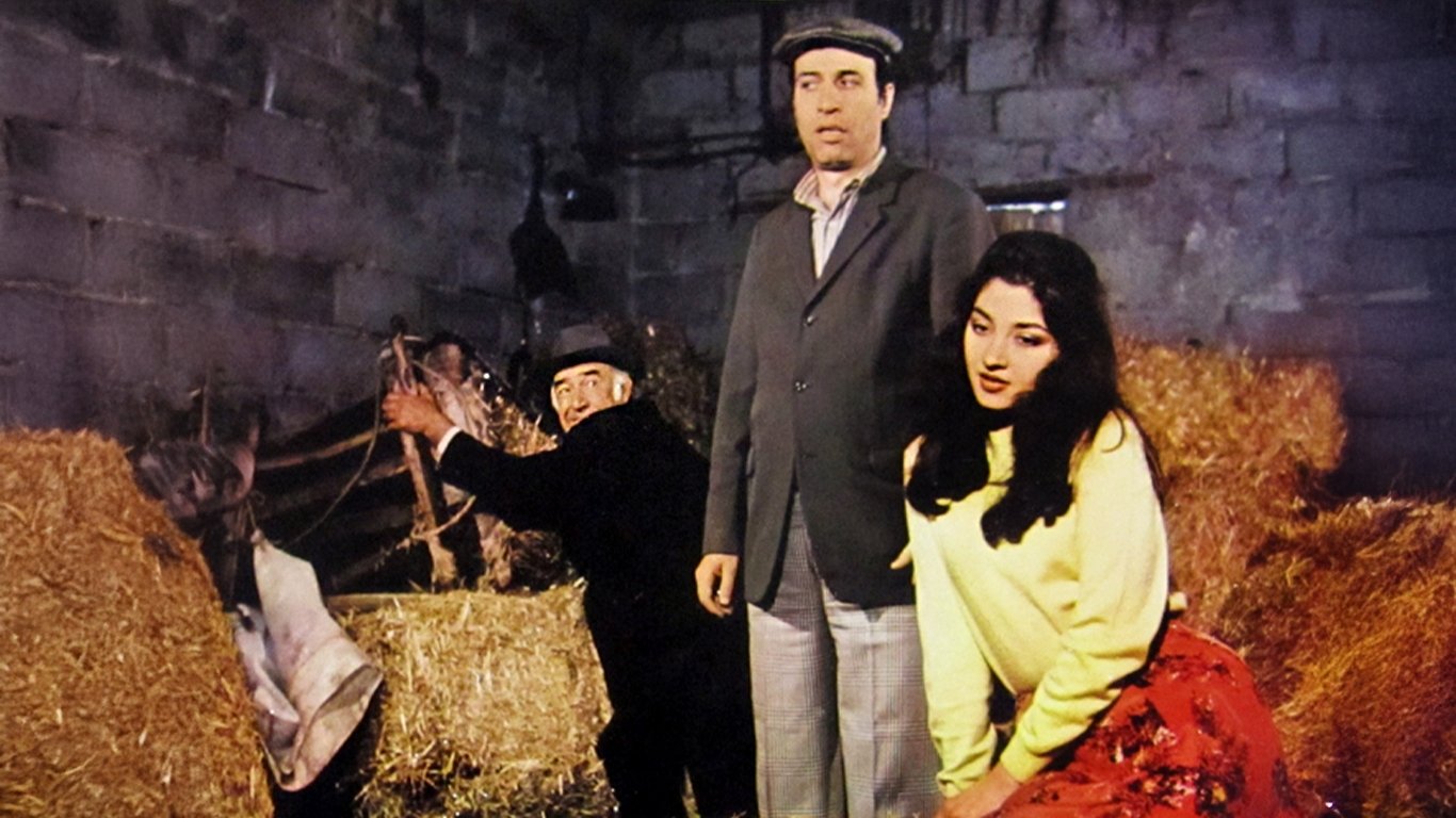 Tokatçı Background