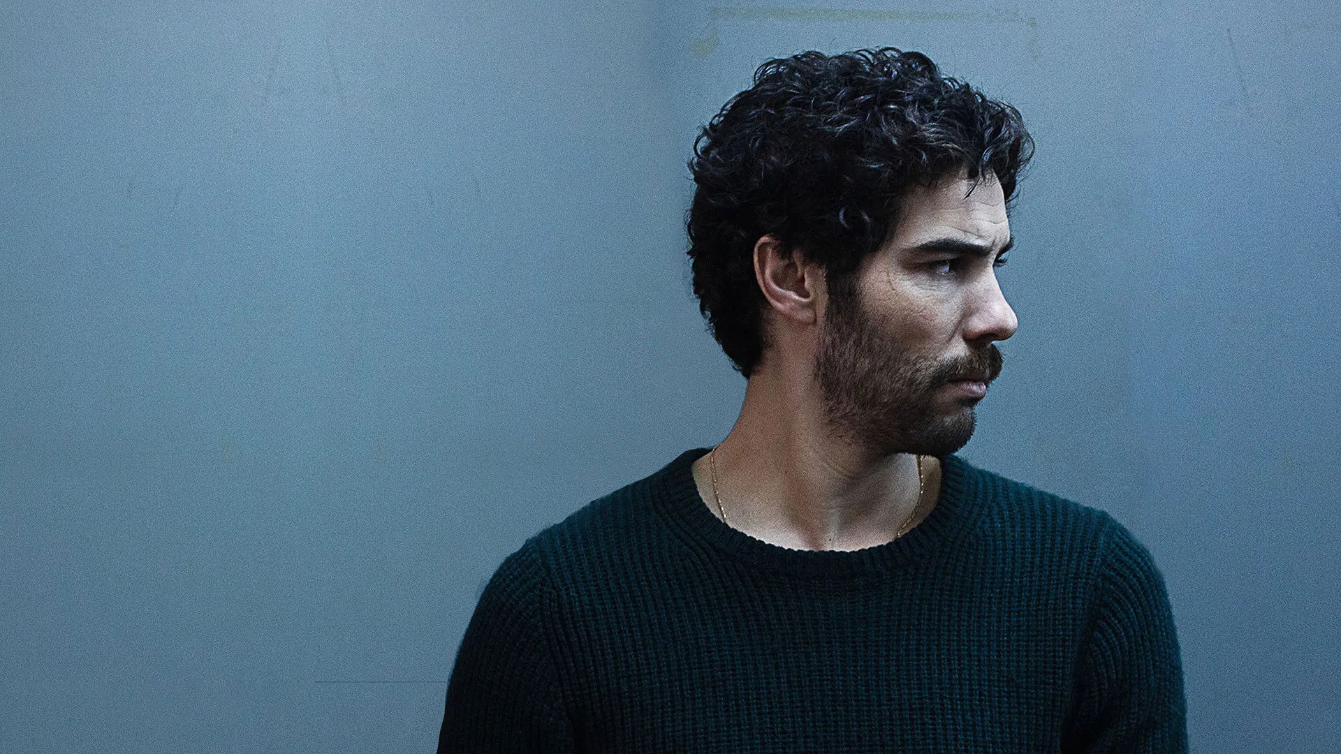 The Last Panthers Background