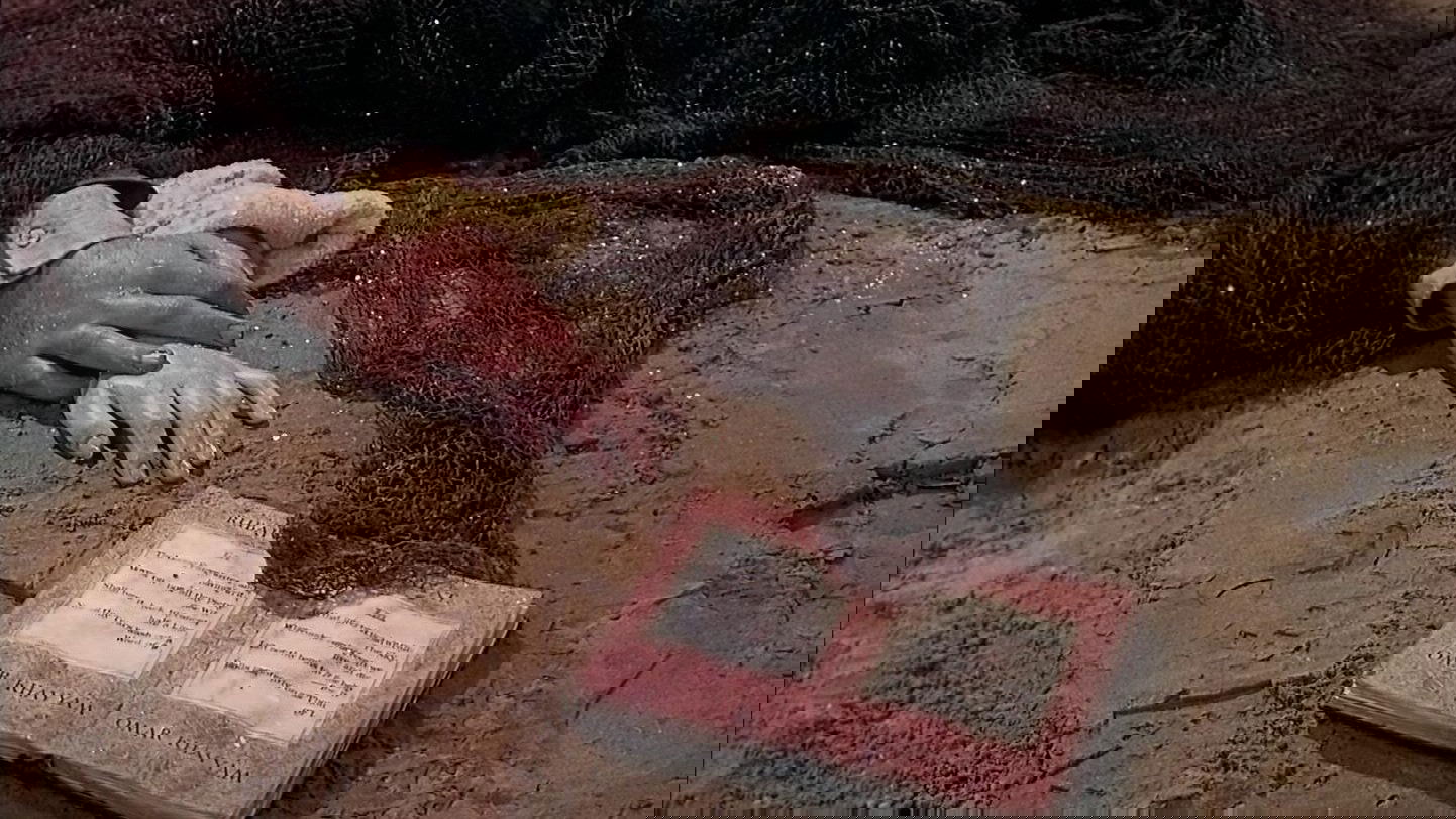 Pandora and the Flying Dutchman Background