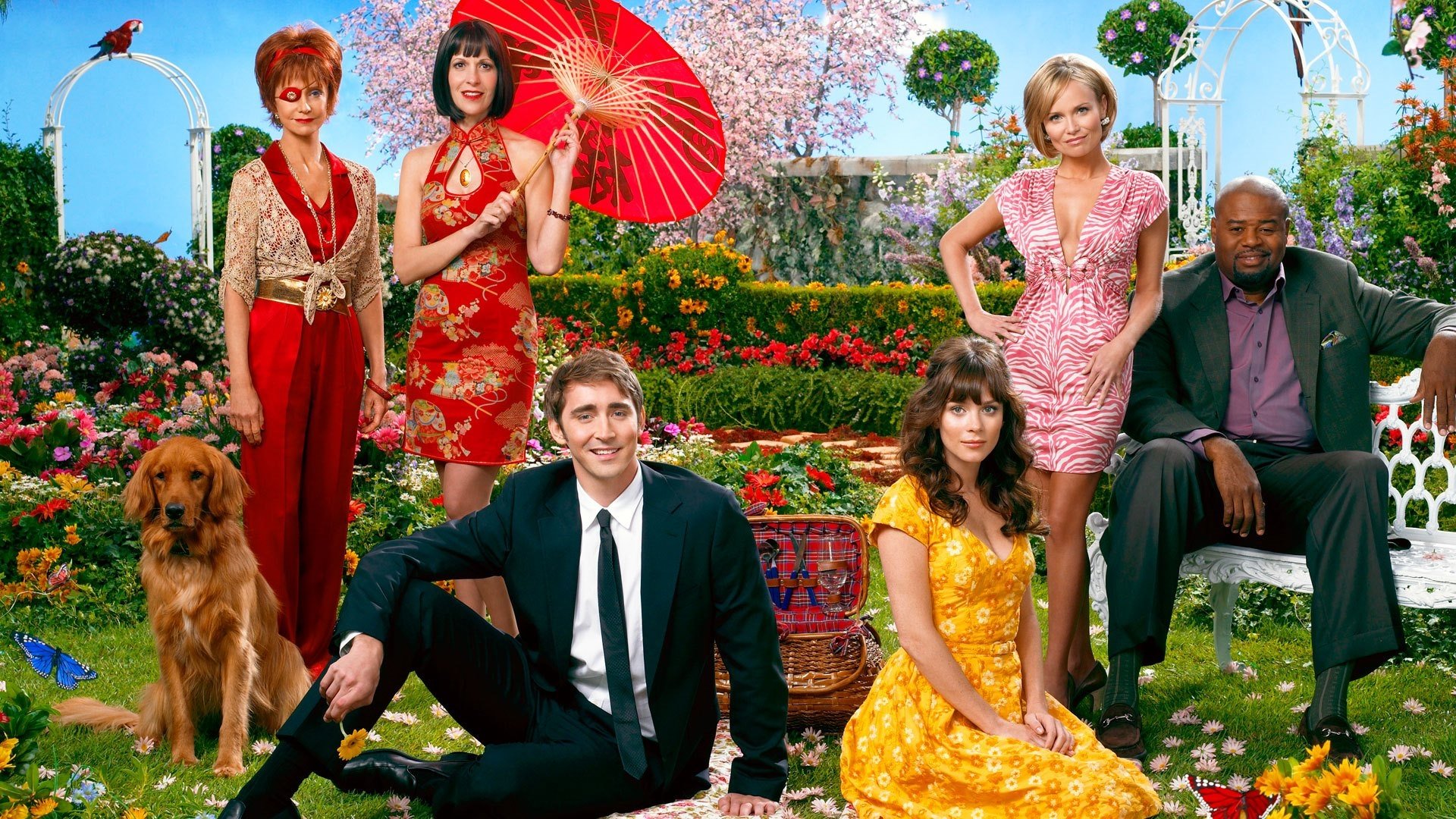 Pushing Daisies Background