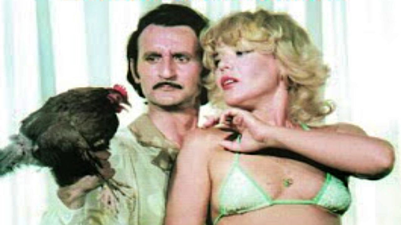 Me... and my Bird Background