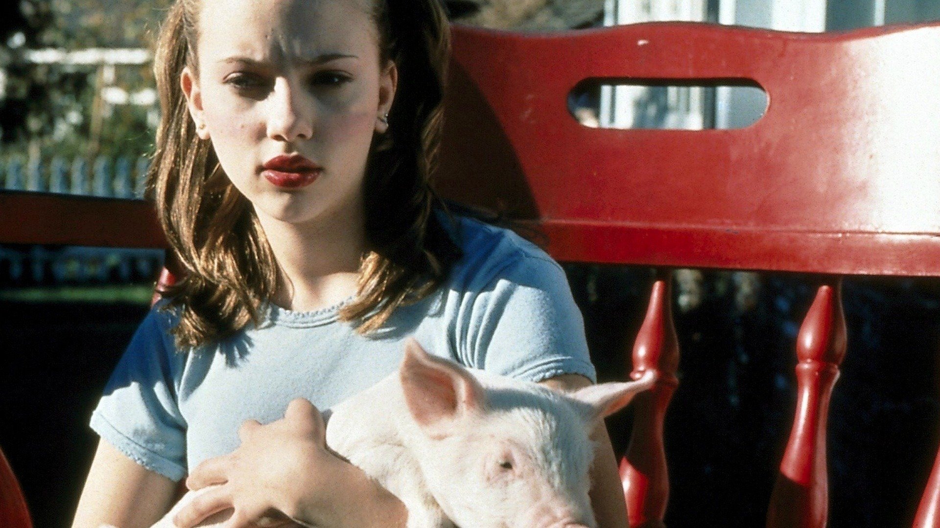My Brother the Pig Background