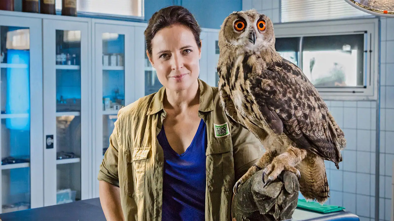 Tierärztin Dr. Mertens Background