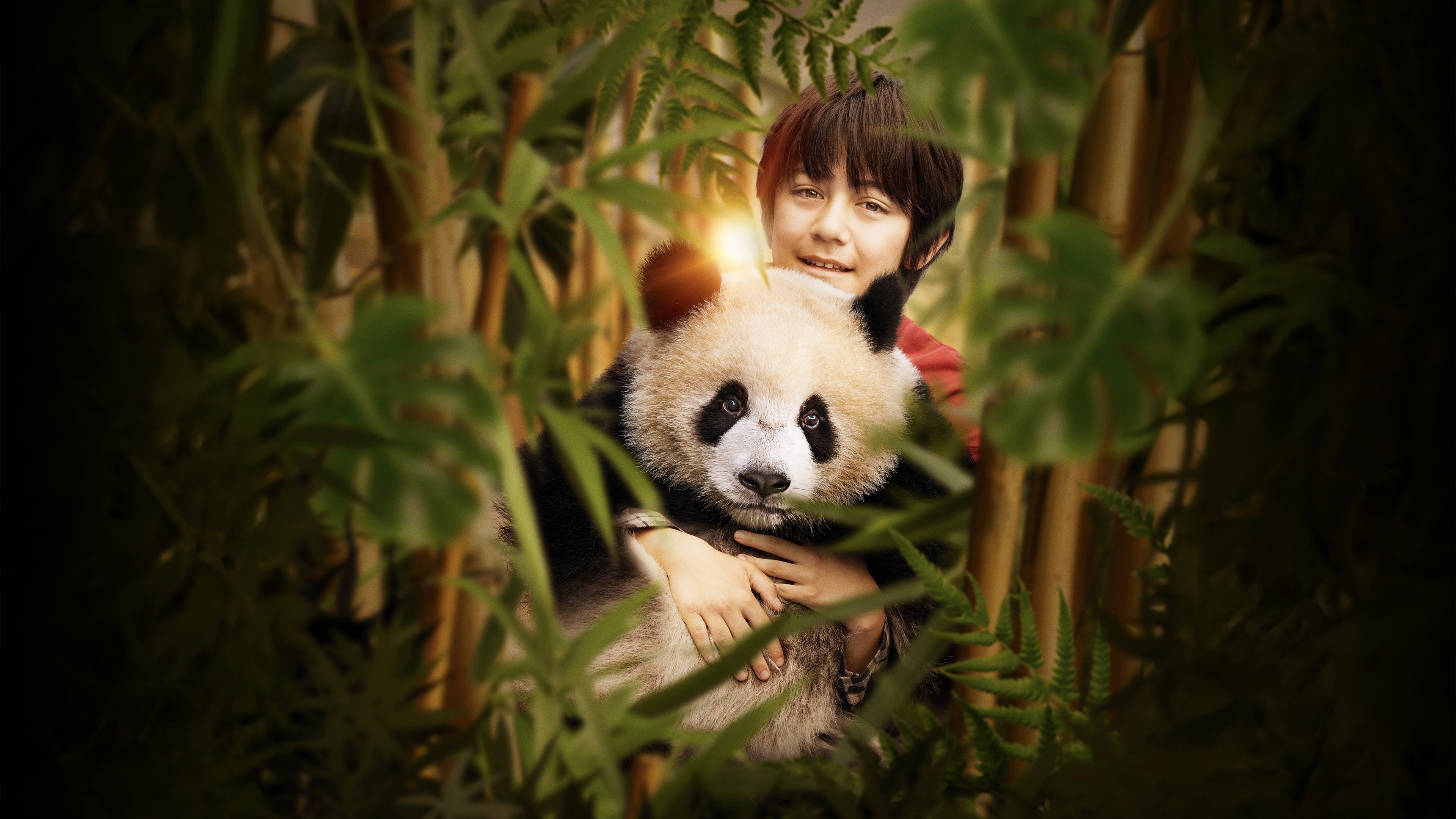Moon the Panda Background