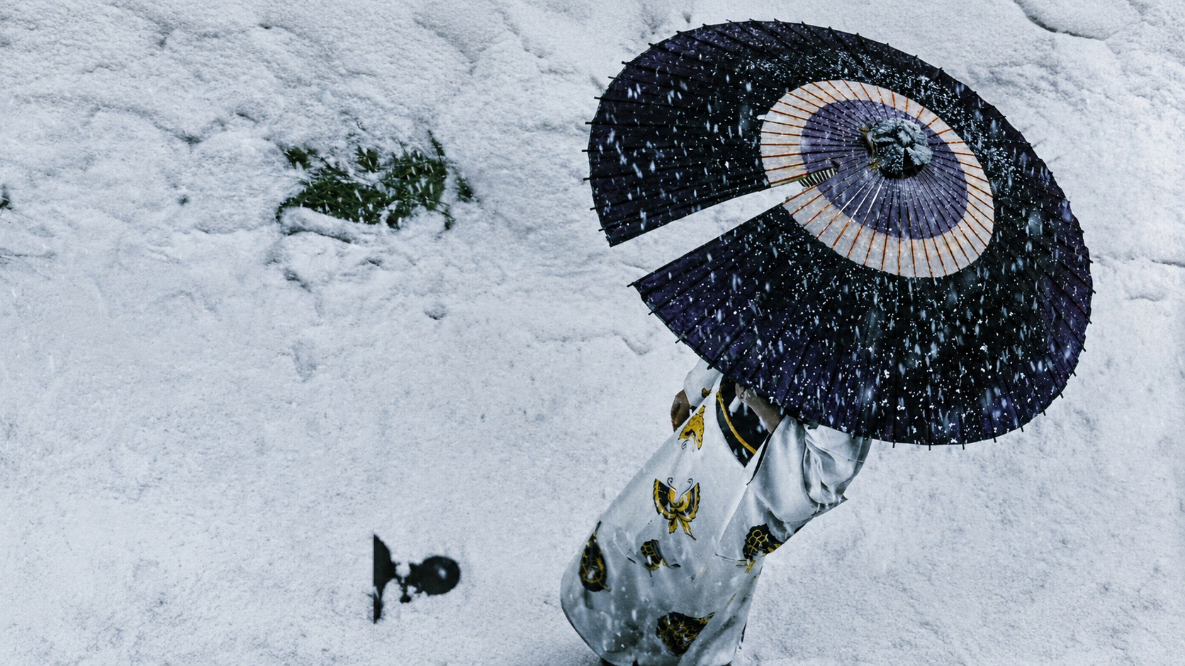 Lady Snowblood Background