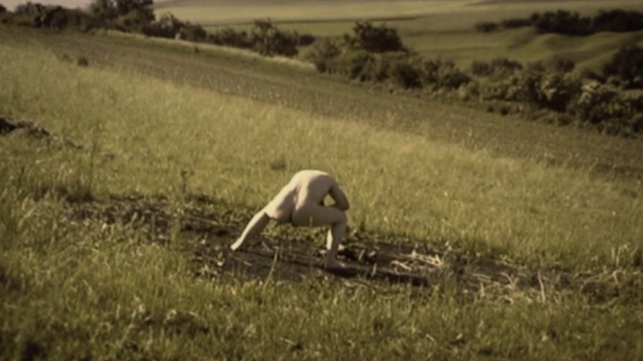 Debris Documentar Background