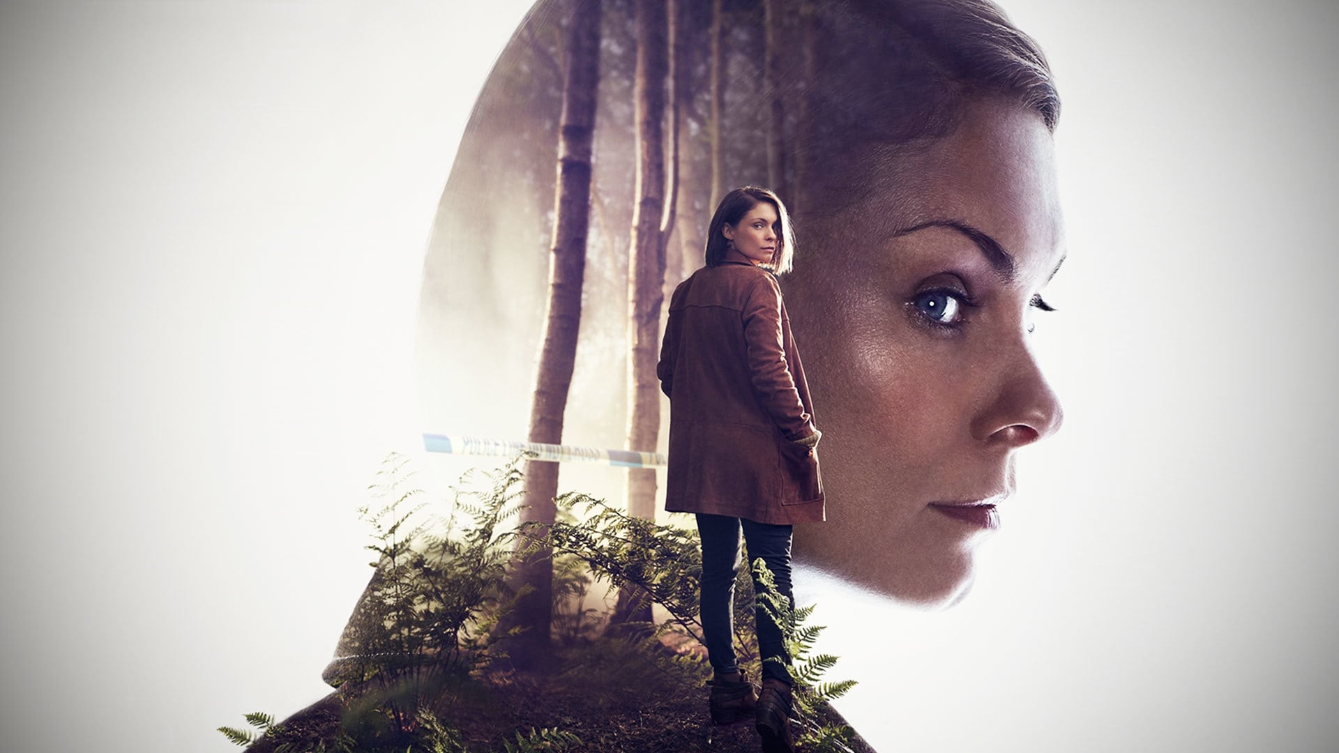 In the Dark Background