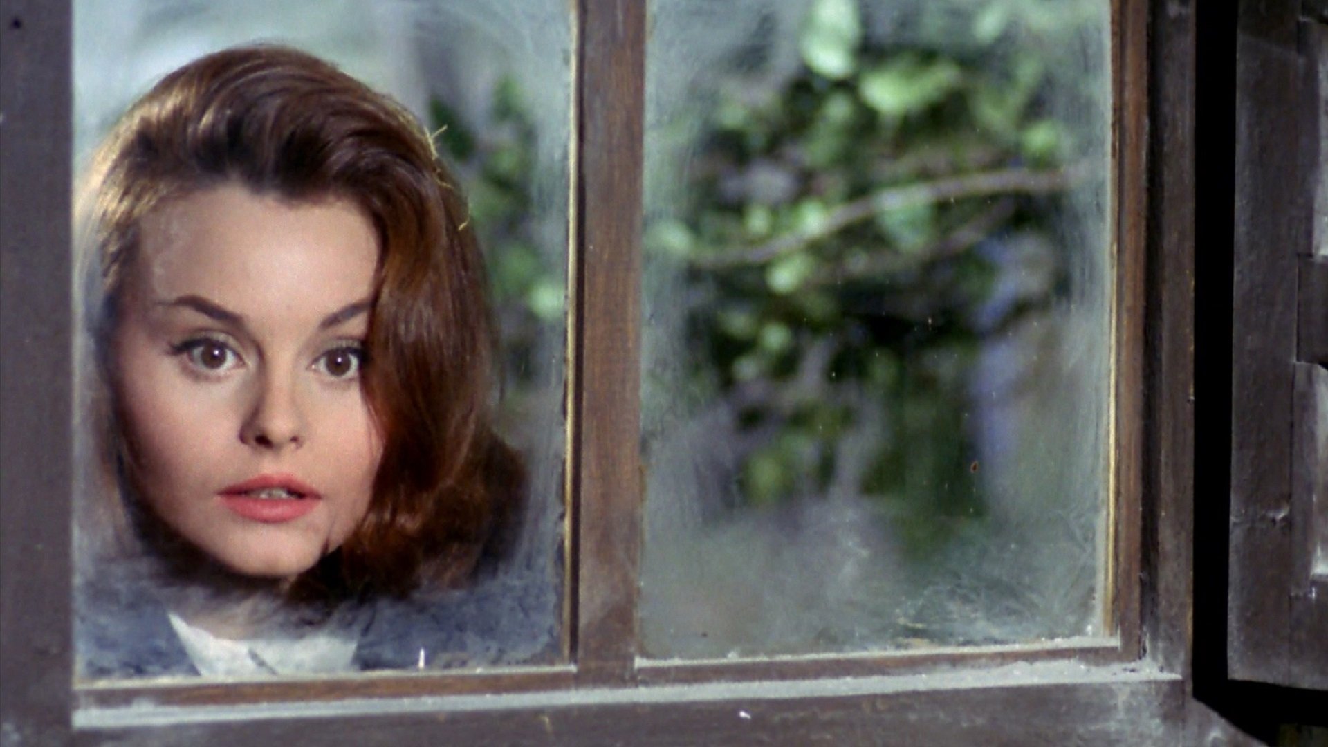 Tengo 17 años Background