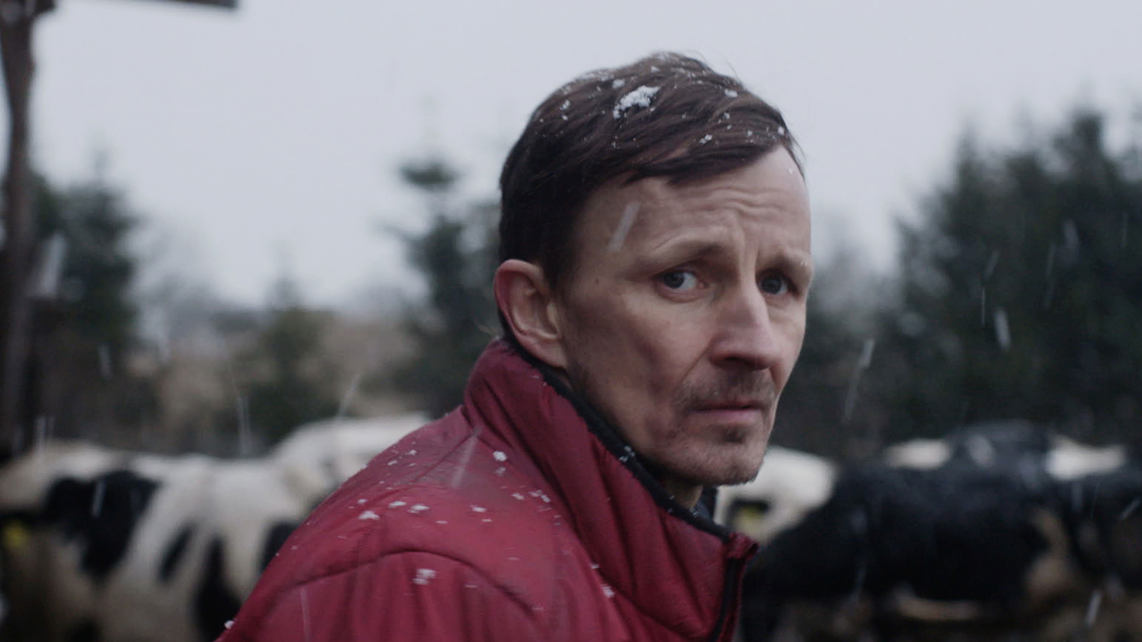 Next to Nothing Background