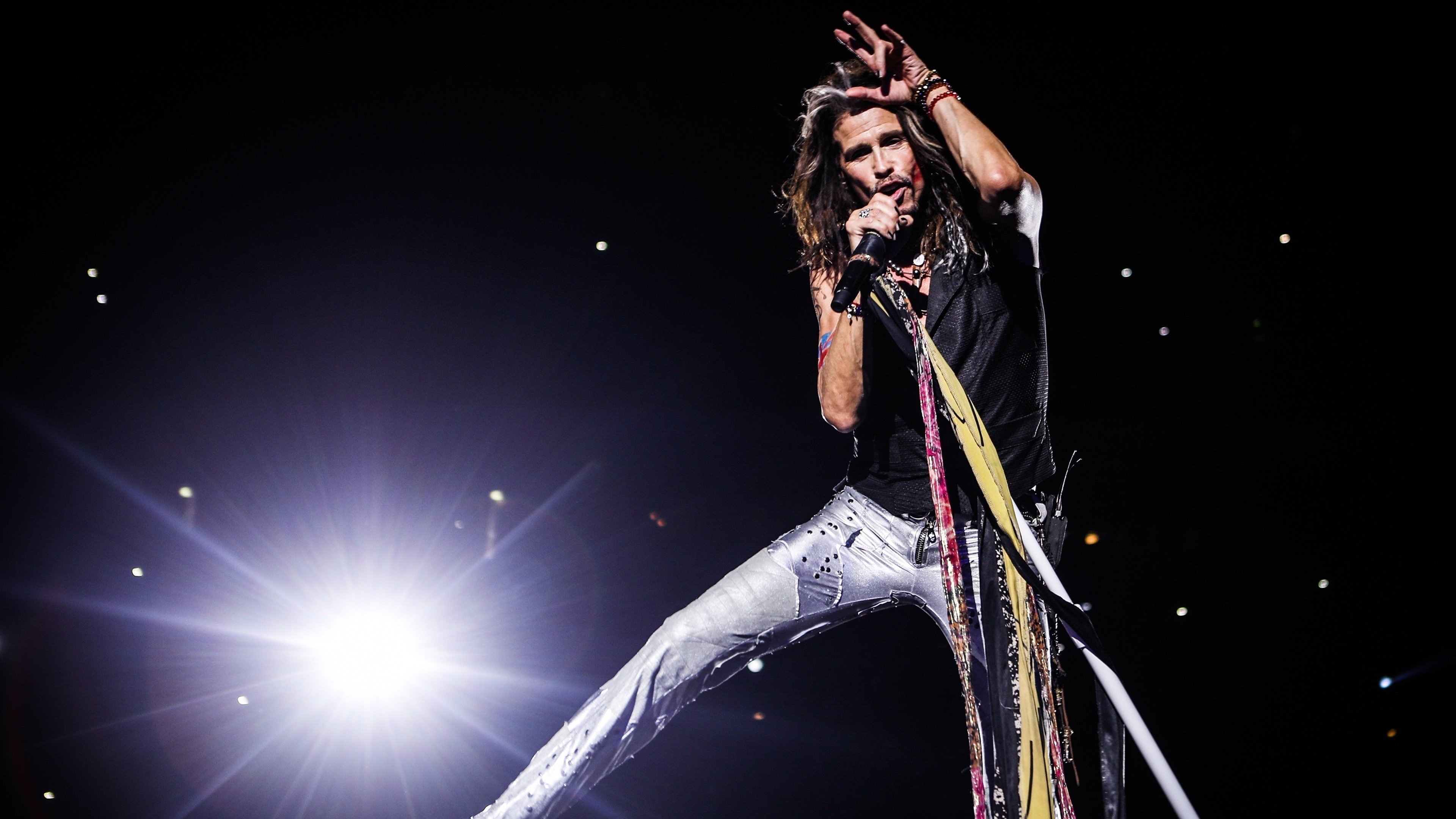 Steven Tyler: Out on a Limb Background