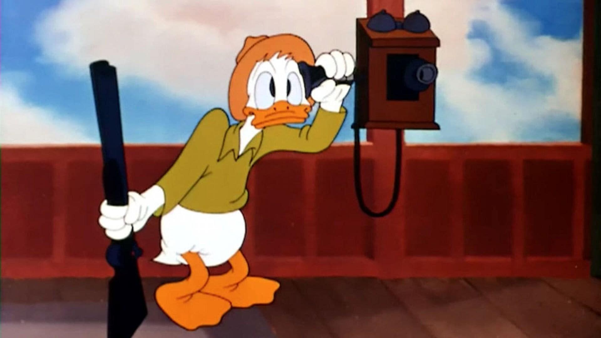 Old Sequoia Background