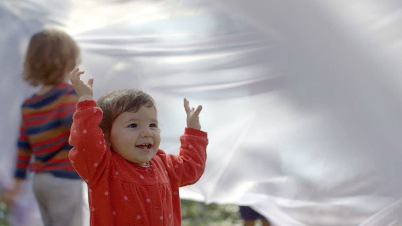 The Beginning of Life: The Series Background