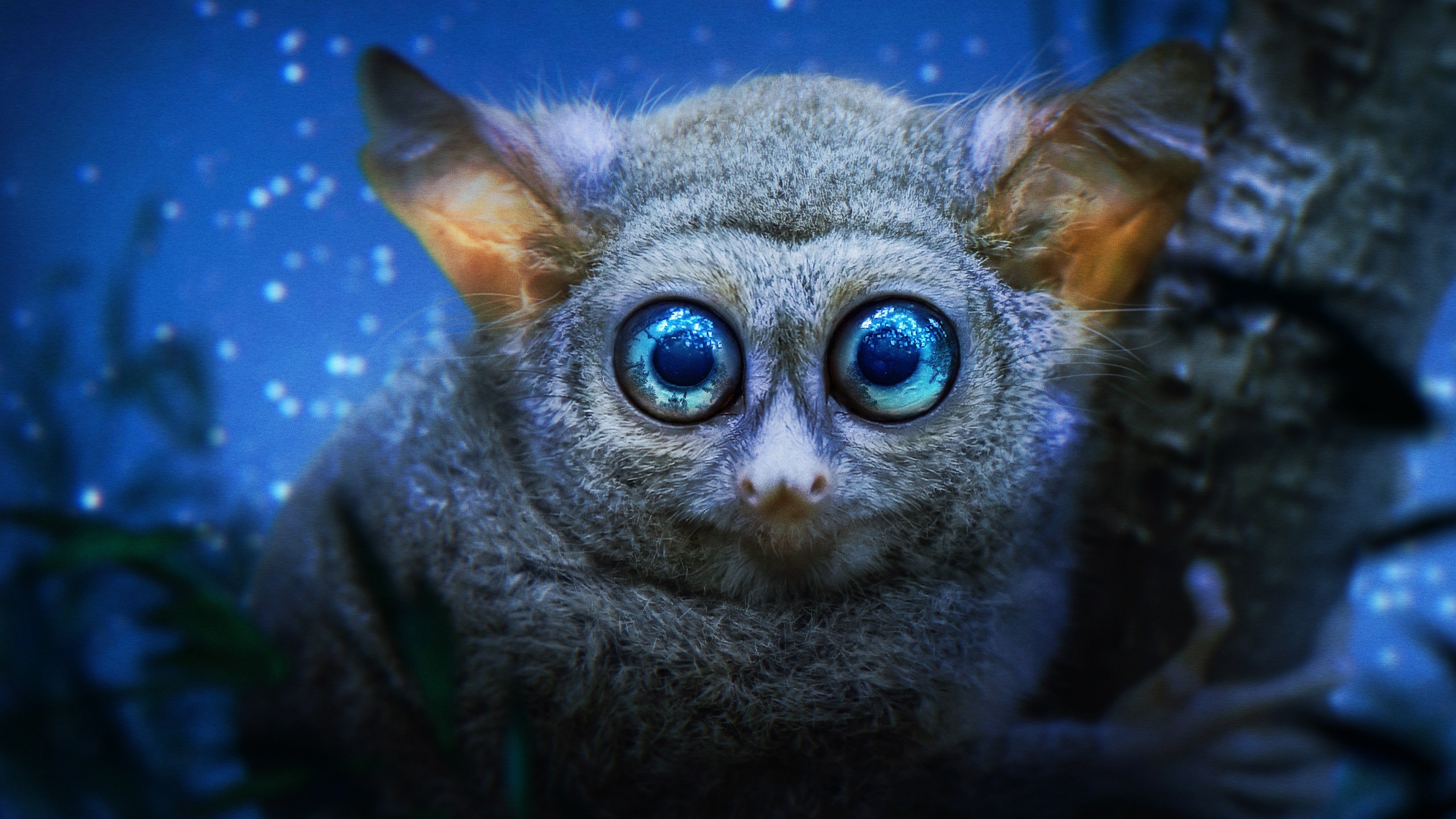 Earth at Night in Colour Background