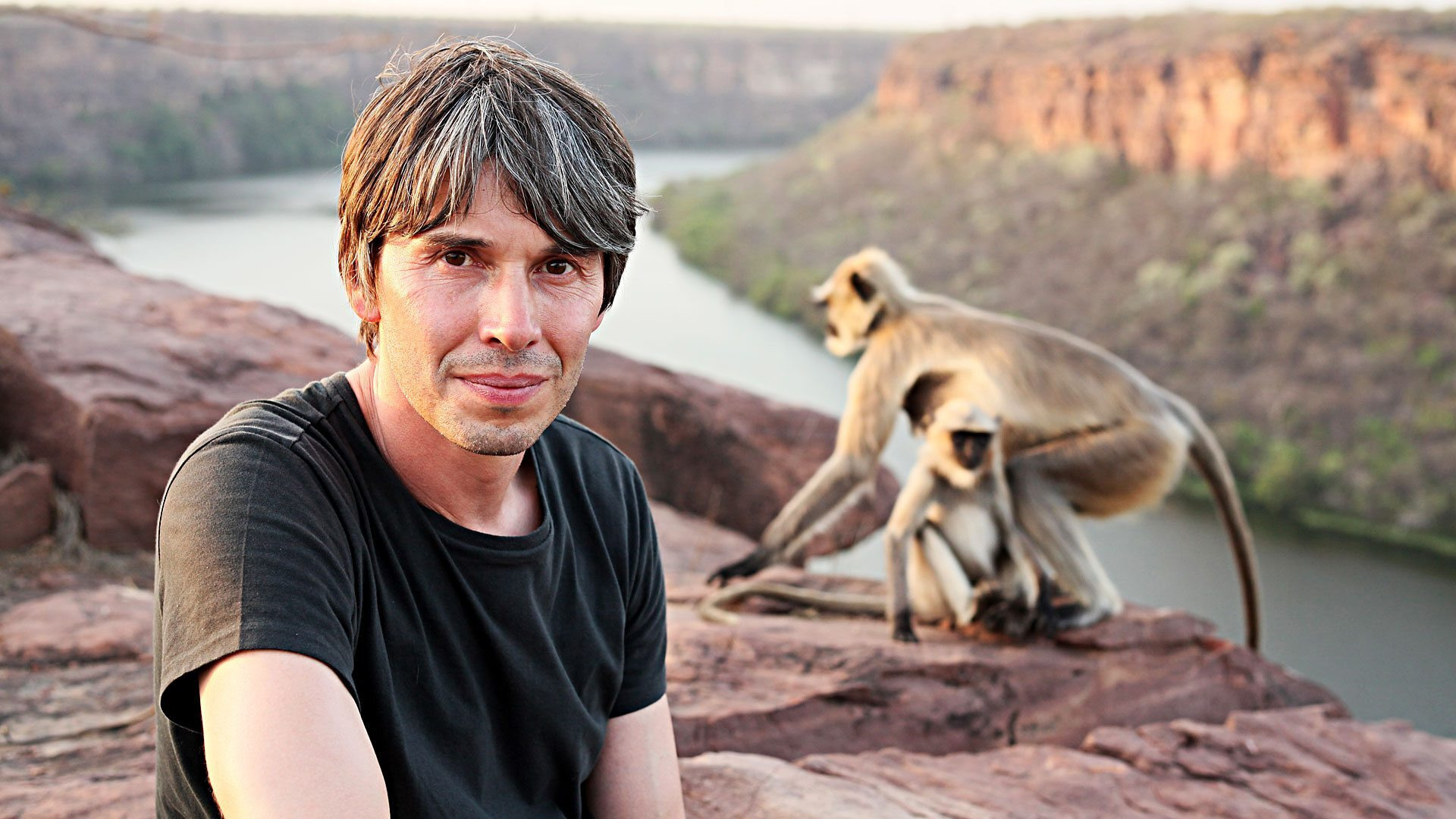 Human Universe Background