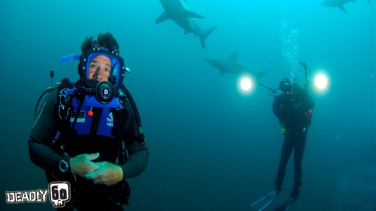 Deadly 60 Background