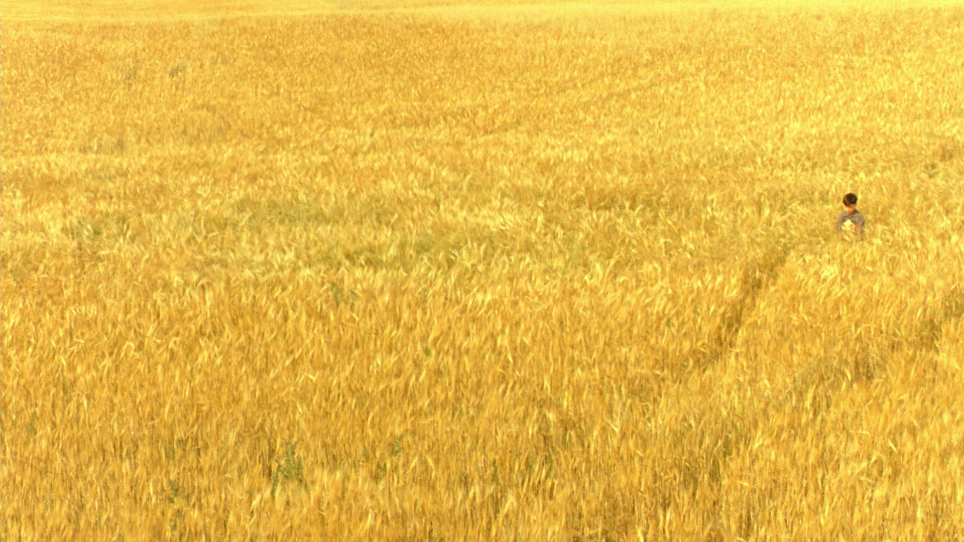 The Reflecting Skin Background