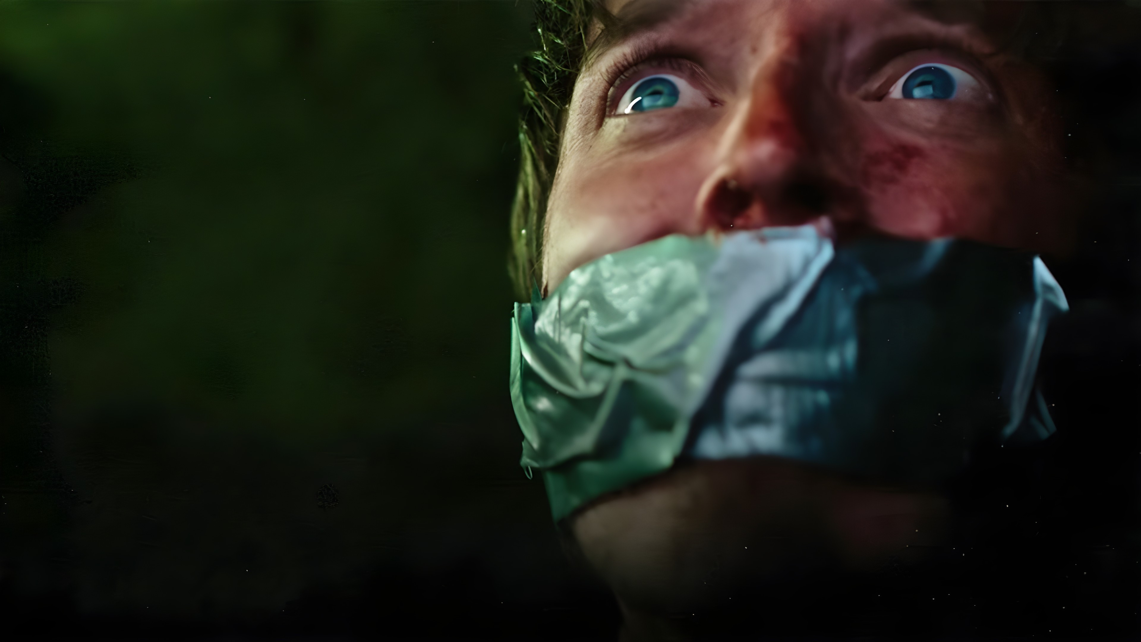 15 Cameras Background