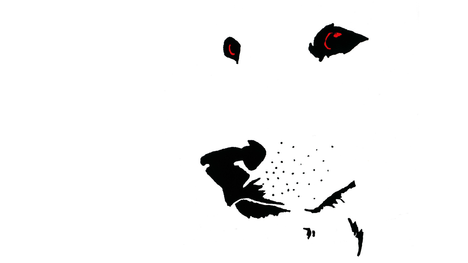 White Dog Background