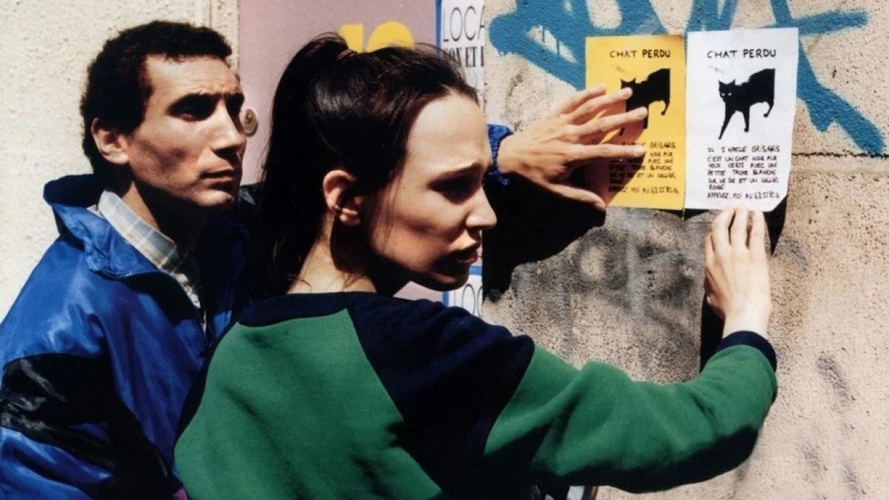 When the Cat's Away Background