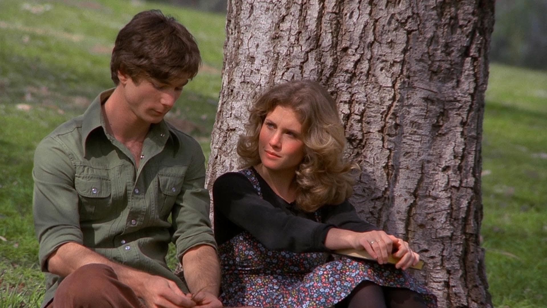 Massacre at Central High Background