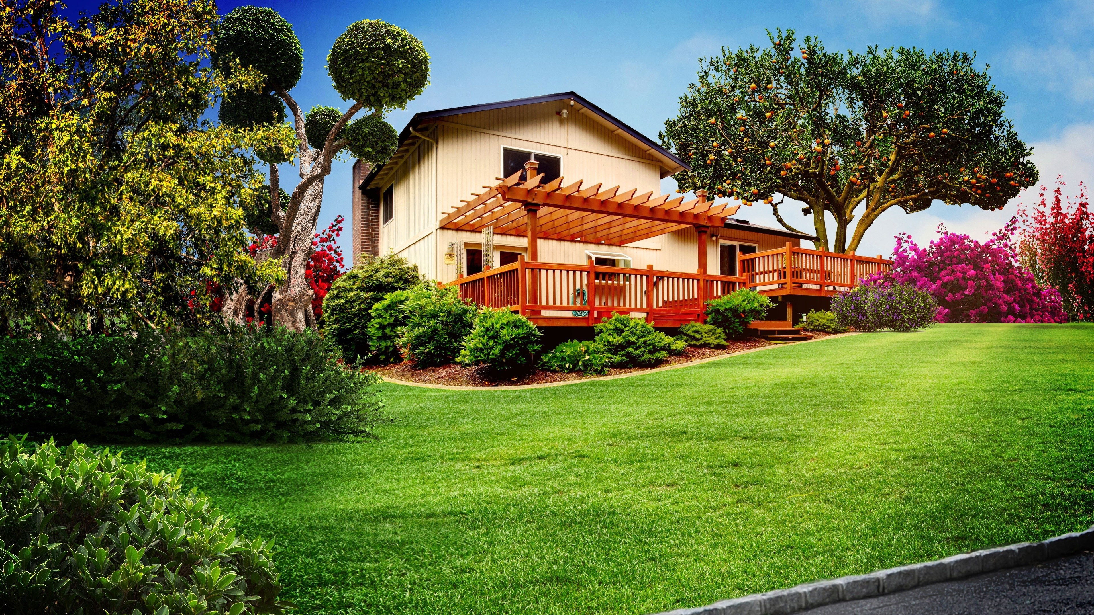 Curb Appeal Xtreme Background