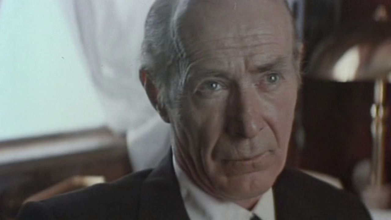 Two Long Hoots in the Fog Background