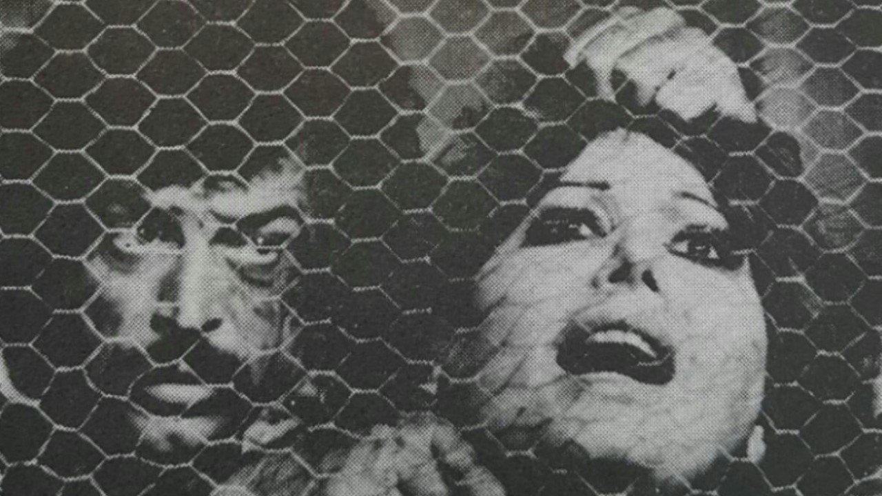 The Red-Haired Background