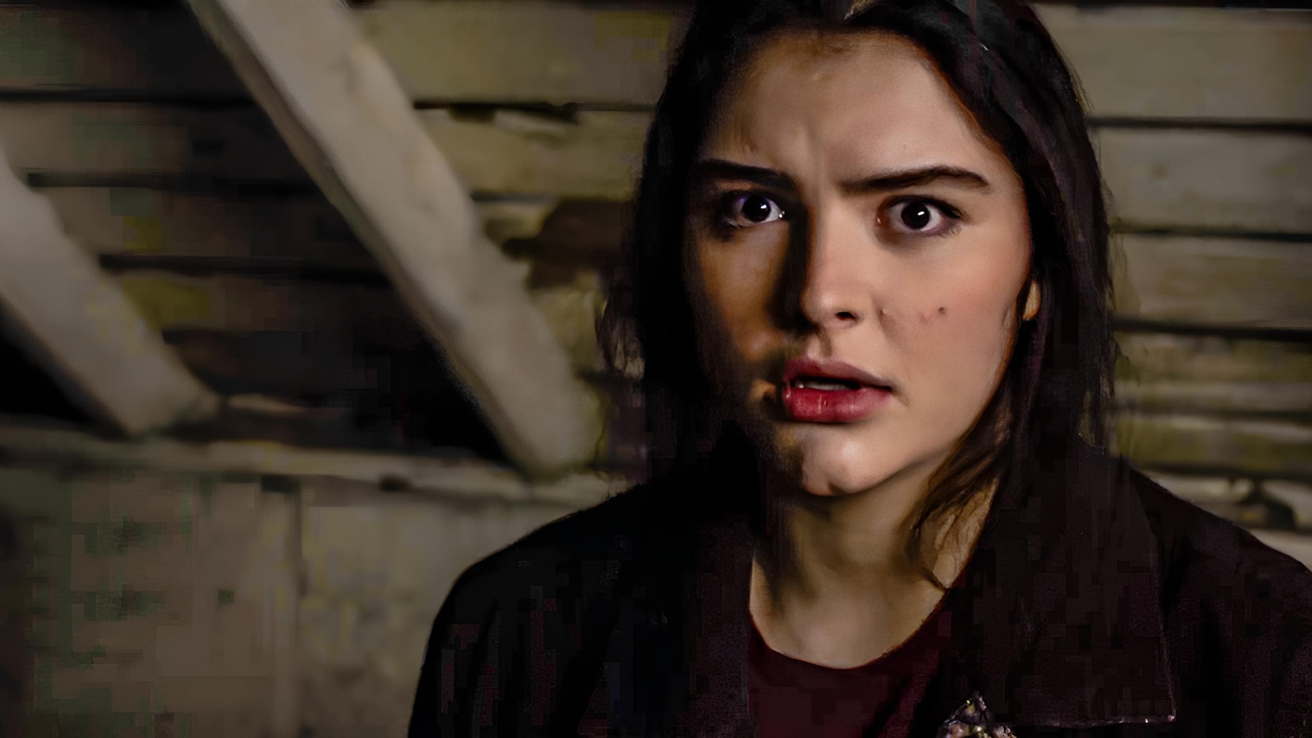 Amityville: Where the Echo Lives Background